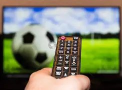 谢维军揭秘,中卫之惧,恐惧失误是,开元体育集团,开元棋牌官方,开元体育登录