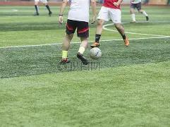 林青霞直面,金莎求婚,非女同身份,开元体育集团,开元棋牌官方,开元体育登录